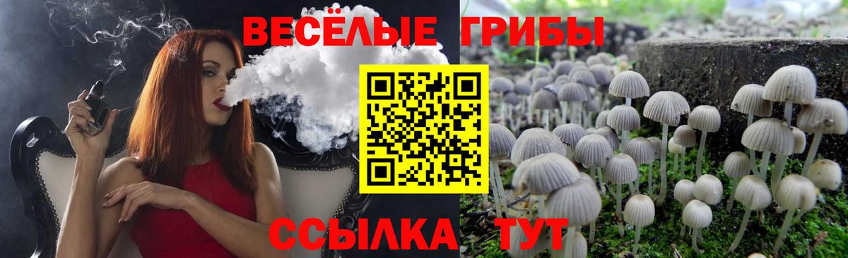 Галлюциногенные грибы прущие грибы  Вход с VPN  Новосибирск 