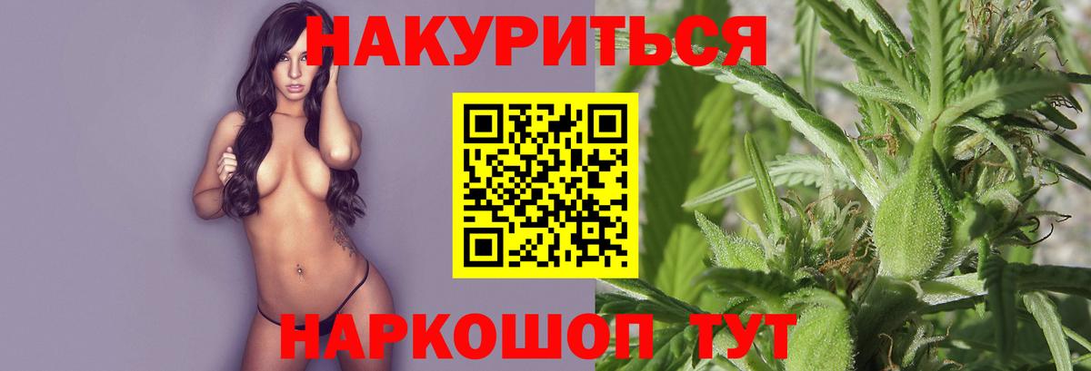 Бошки марихуана LSD WEED  Вход с VPN  Конопля план  Новосибирск  Каннабис гибрид 